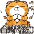 白爛貓20 五告秋